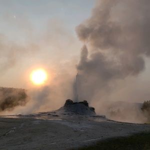 Meet your Posher, Peggy